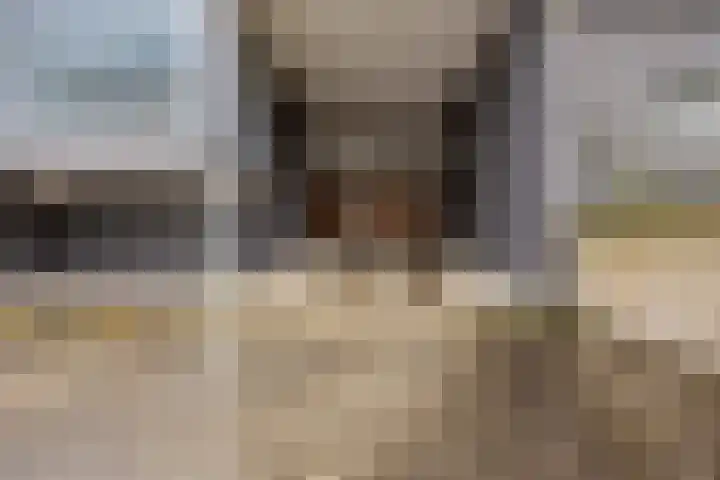 Sporenring 248 08 Goirle thumbnail 31