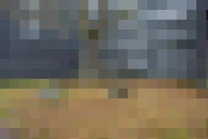 Sporenring 248 08 Goirle thumbnail 37