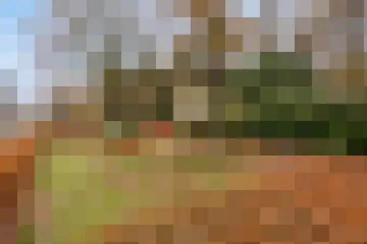 Sporenring 248 08 Goirle thumbnail 40