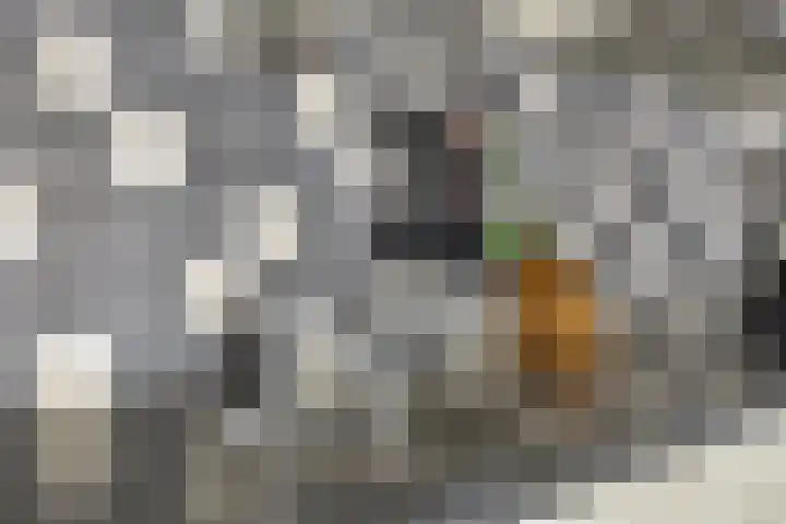 Sporenring 248 08 Goirle thumbnail 8