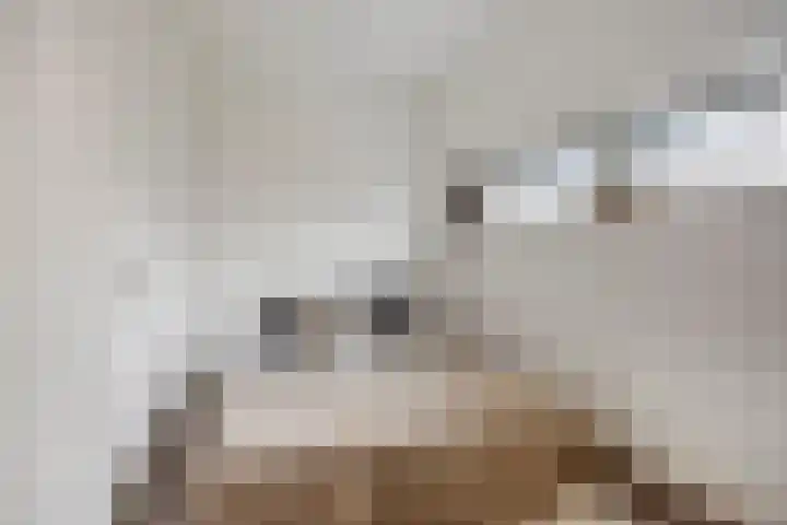 Sporenring 250 Goirle thumbnail 27