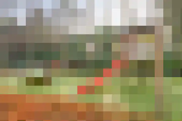 Sporenring 250 Goirle thumbnail 38