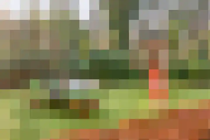 Sporenring 250 Goirle thumbnail 39