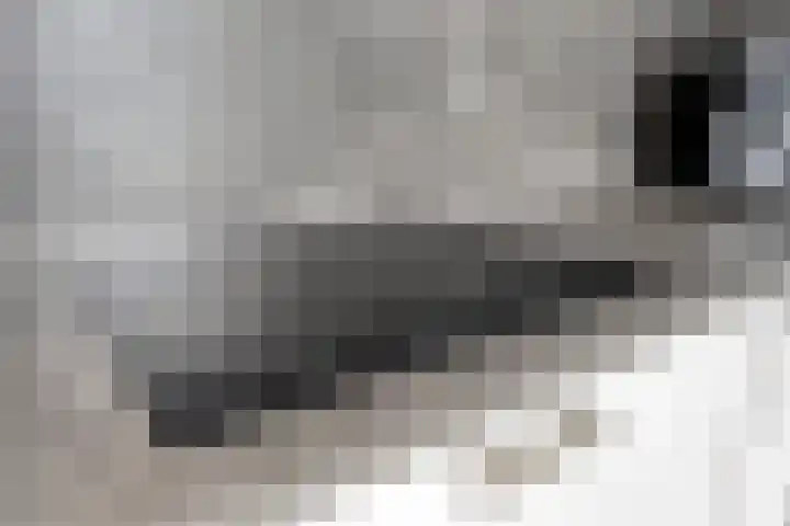 Sporenring 40 Goirle thumbnail 11