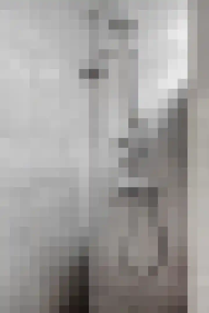Sporenring 40 Goirle thumbnail 26