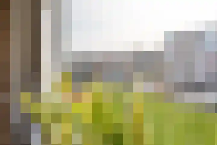 Sportlaan 139 Purmerend thumbnail 13
