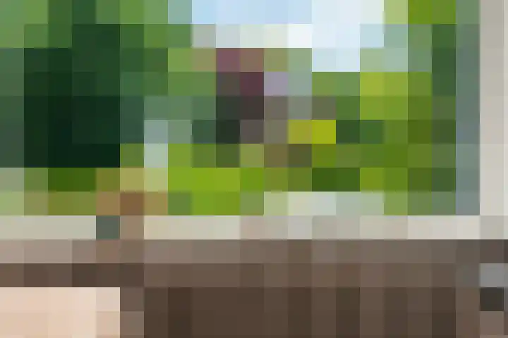 Sportlaan 26 Bemmel thumbnail 10