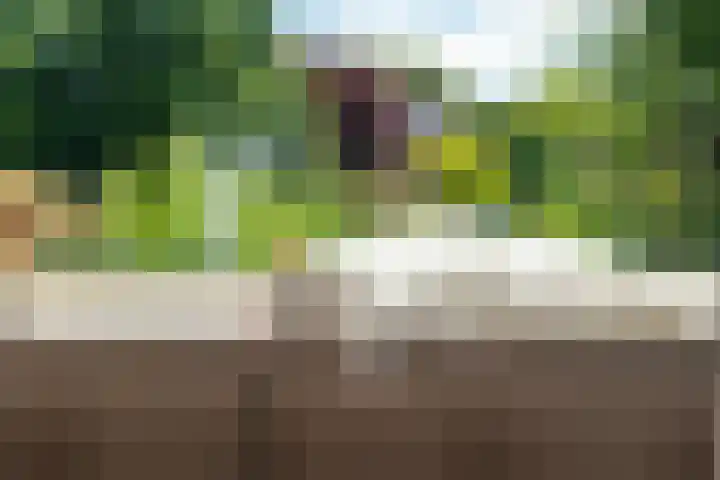 Sportlaan 26 Bemmel thumbnail 11