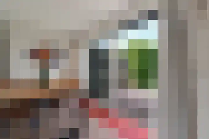 Sportlaan 26 Bemmel thumbnail 20