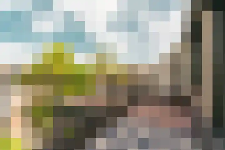 Sportlaan 26 Bemmel thumbnail 38