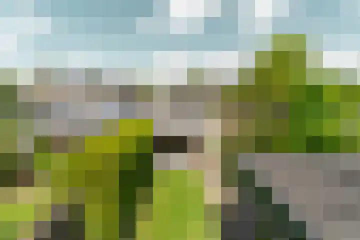 Sportlaan 26 Bemmel thumbnail 39