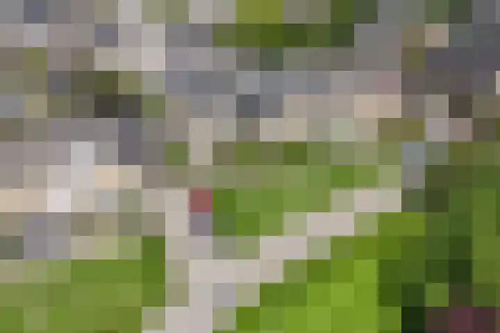Sportlaan 26 Bemmel thumbnail 52