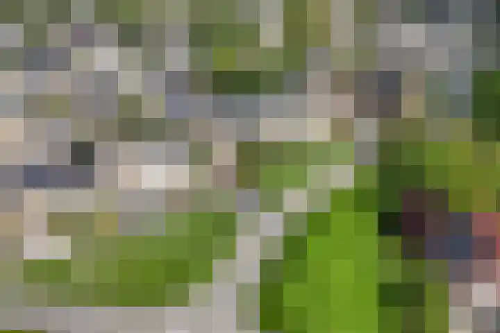 Sportlaan 26 Bemmel thumbnail 53