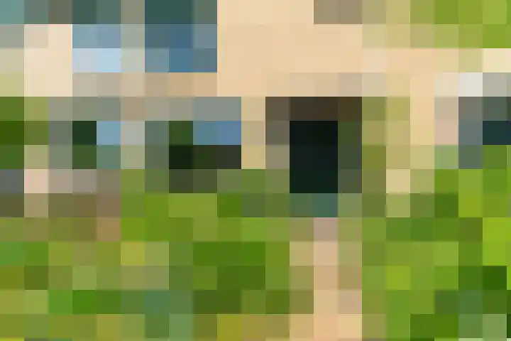 Sportlaan 26 Bemmel thumbnail 55