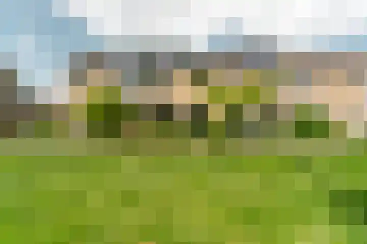 Sportlaan 26 Bemmel thumbnail 71