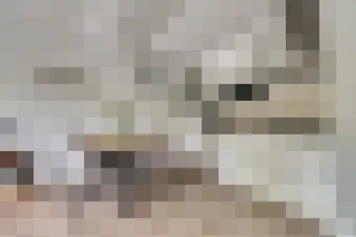 Sportlaan 39 E De Lier thumbnail 14