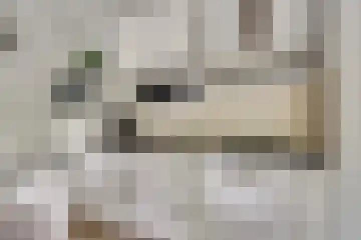 Sportlaan 39 E De Lier thumbnail 16