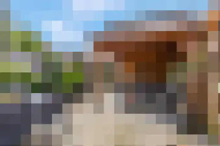 Sportlaan 45 Ede thumbnail 4