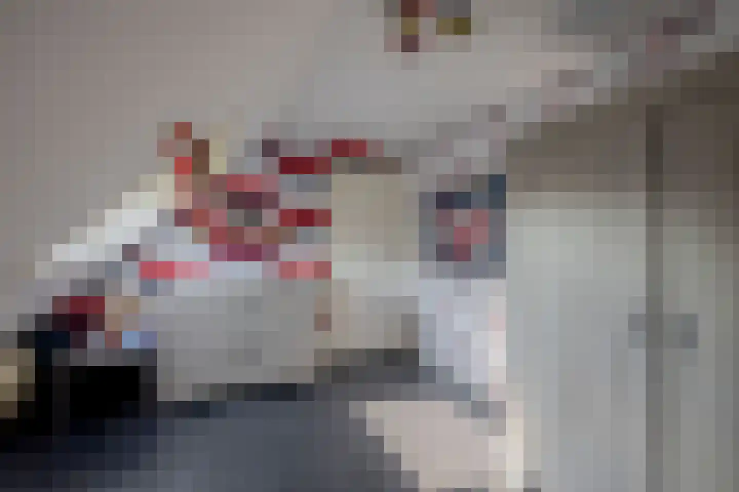 Sportlaan 6 Almkerk thumbnail 36