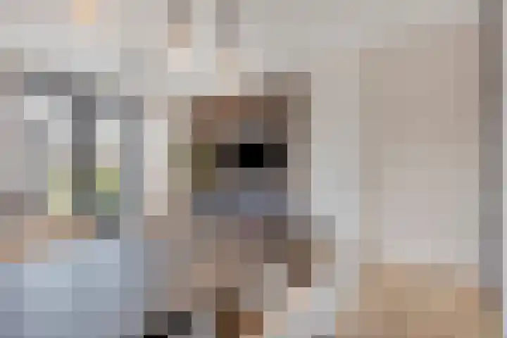 Sportlaan 7 Oss thumbnail 12