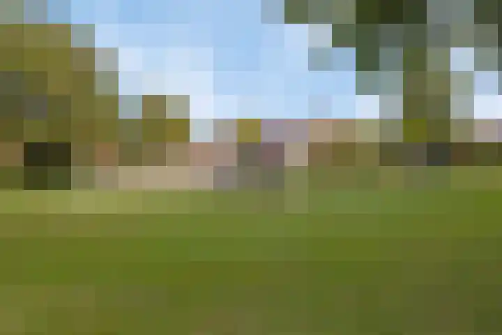 Sportlaan 7 Oss thumbnail 16