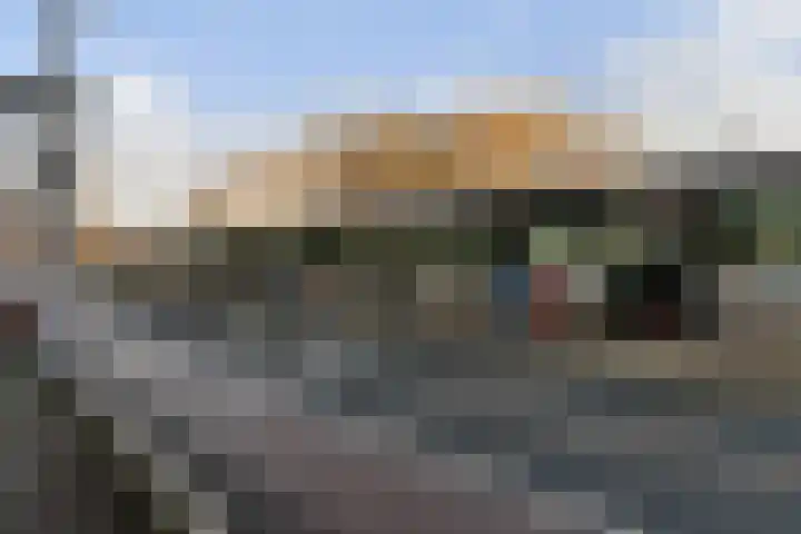 Sportlaan 7 Oss thumbnail 17