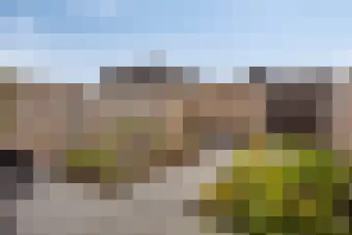 Sportlaan 7 Oss thumbnail 23