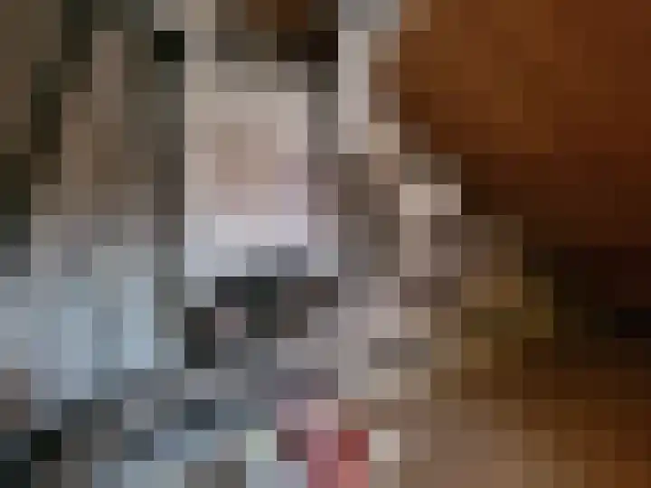 Sportlaan 8 Andijk thumbnail 17