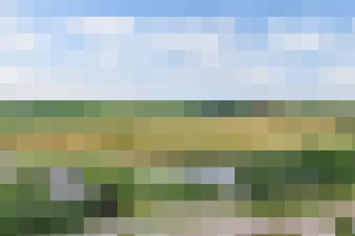 Sportweg 2 E Ens thumbnail 10