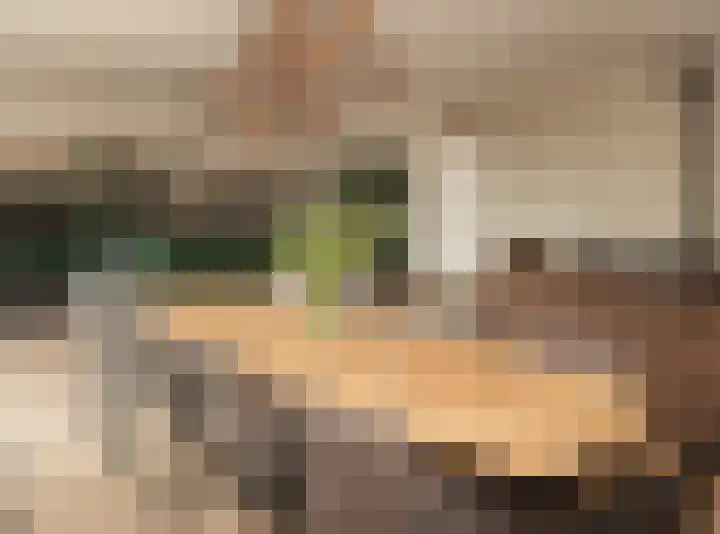 Sprangweg 27 a Hoeven thumbnail 33