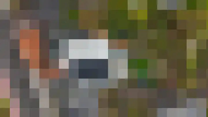 Sprangweg 27 a Hoeven thumbnail 7