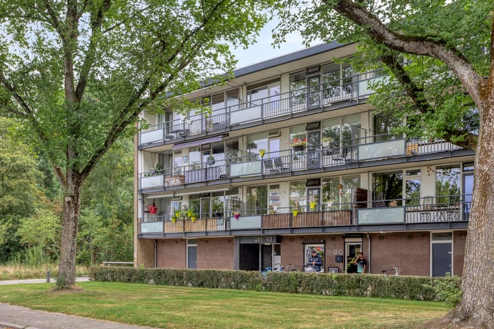 Spreeuwenstraat 293 in Amersfoort