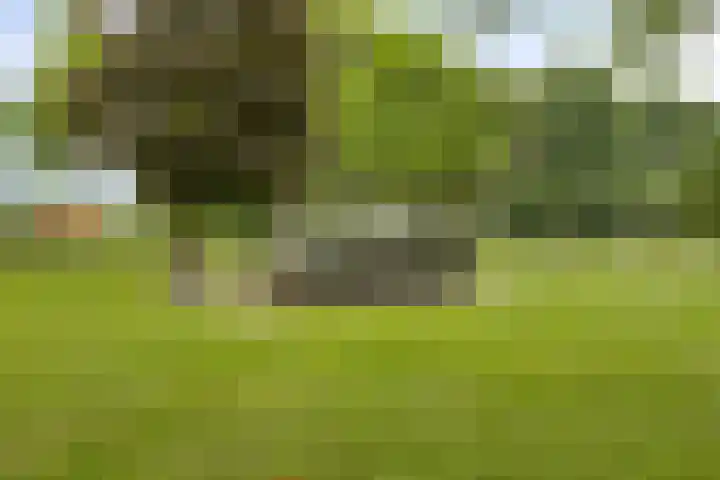 Spreeuwstraat 7 Mill thumbnail 25