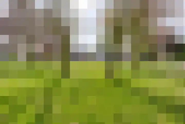 Spreeuwstraat 7 Mill thumbnail 26