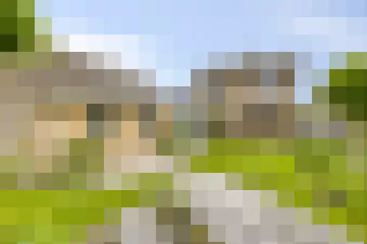 Spreeuwstraat 7 Mill thumbnail 4