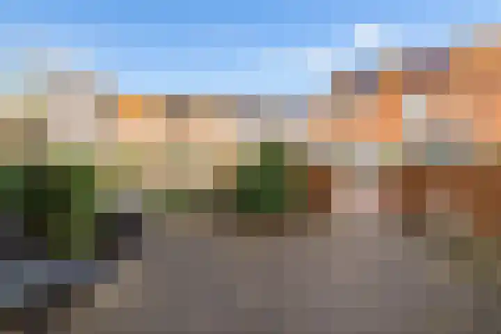 Sprenglaar 164 Almere thumbnail 35
