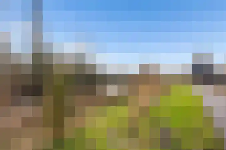 Sprenglaar 164 Almere thumbnail 39