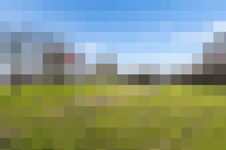 Sprenglaar 164 Almere thumbnail 41