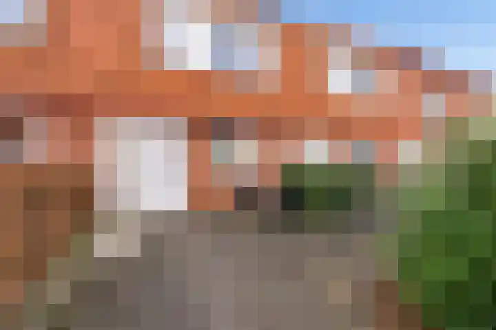 Sprenglaar 164 Almere thumbnail 43