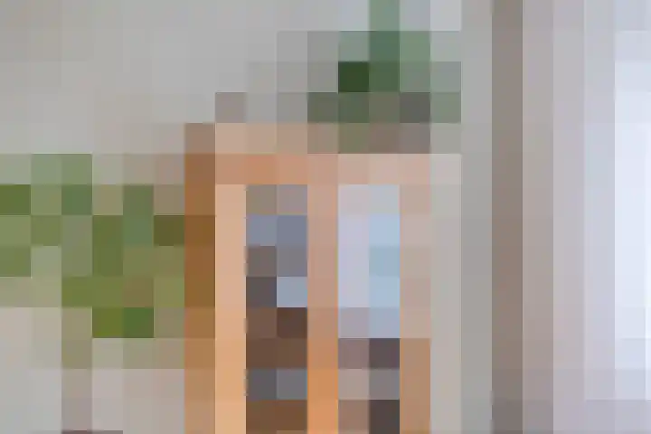 Sprikkenveen 19 Vries thumbnail 11