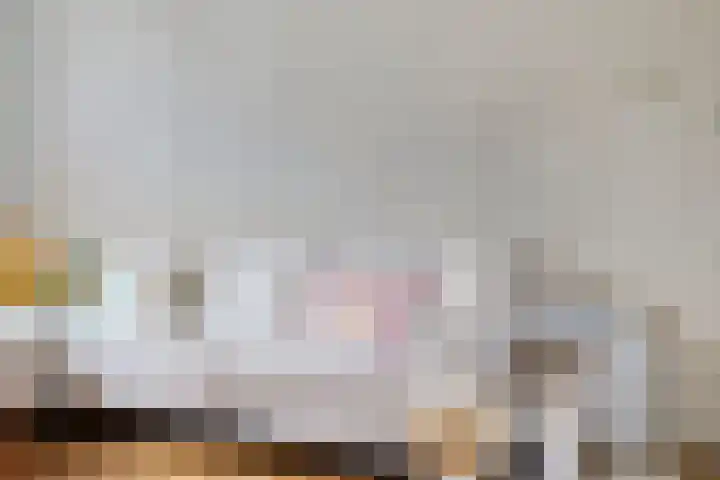 Sprikkenveen 19 Vries thumbnail 12