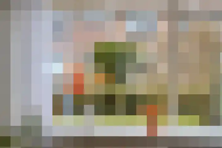 Sprikkenveen 19 Vries thumbnail 13