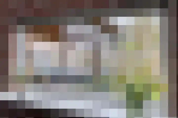 Sprikkenveen 19 Vries thumbnail 24