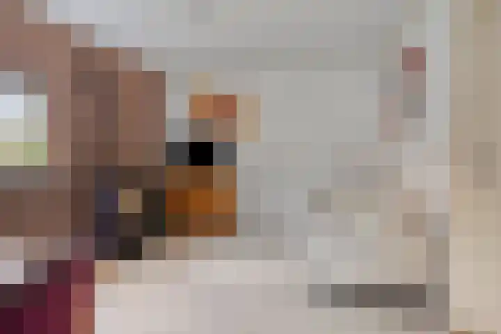 Sprikkenveen 19 Vries thumbnail 4