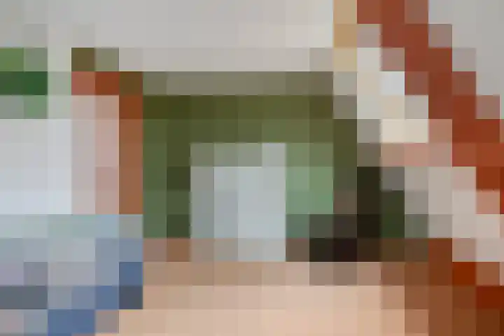 Sprikkenveen 19 Vries thumbnail 40