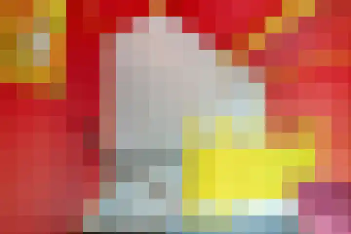 Sprikkenveen 19 Vries thumbnail 41
