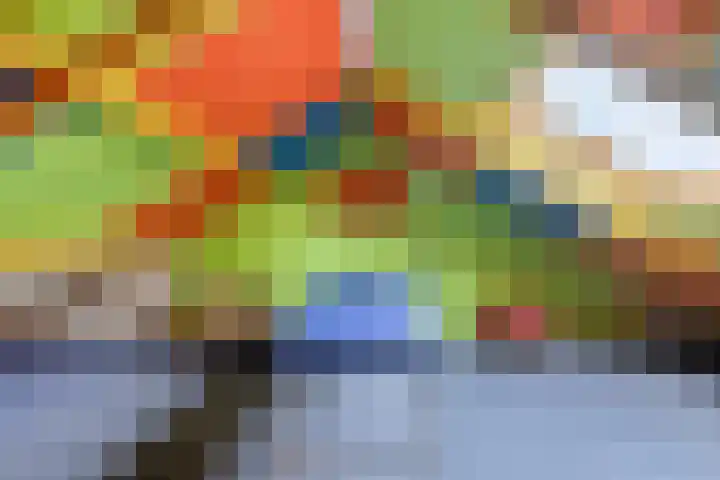 Sprikkenveen 19 Vries thumbnail 42
