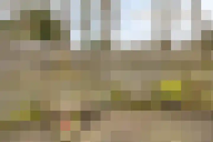 Sprikkenveen 19 Vries thumbnail 48