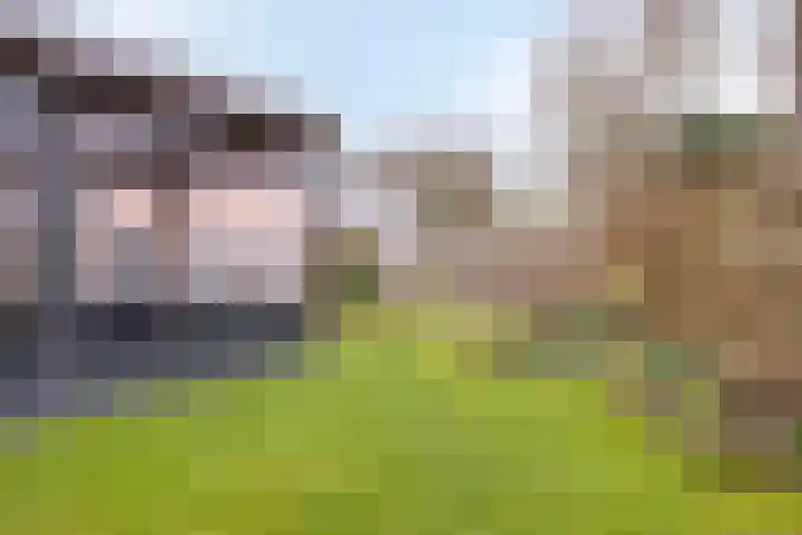 Sprikkenveen 19 Vries thumbnail 54