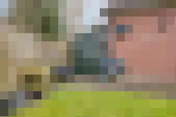 Sprikkenveen 19 Vries thumbnail 55